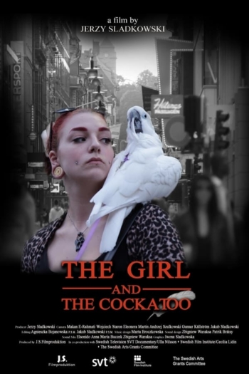 In the Mind of a Parrot