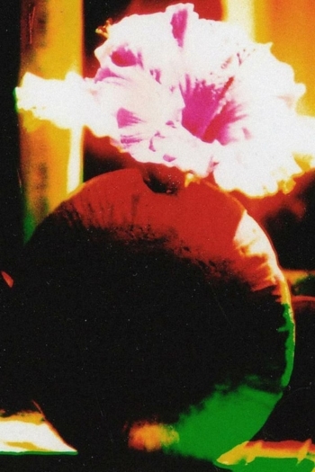 The Room of Chromatic Mystery