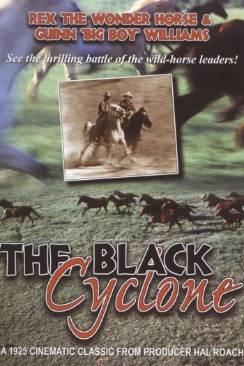 Black Cyclone