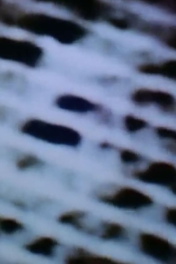 The Space in Between (Airport Architecture)