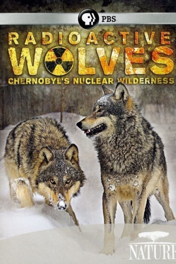 Radioactive Wolves: Chernobyl's Nuclear Wilderness