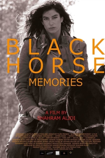 Black Horse Memories