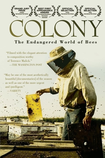 Colony