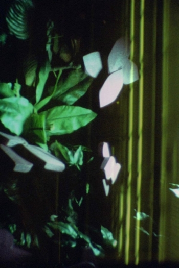 Somewhere Else and Yet Always Here