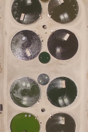 Imperial Valley (Cultivated Run-Off)