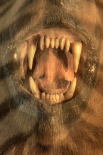 The Many Colors Of The Sky Radiate Forgetfulness