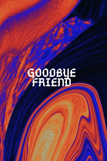Goodbye Friend