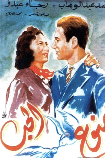 Love Is Forbidden