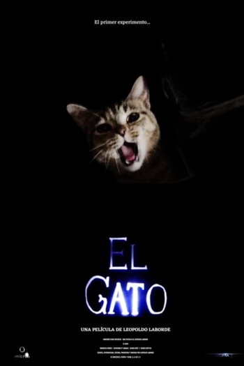 El gato