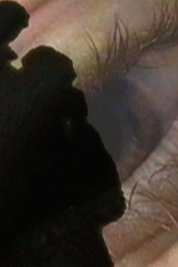 Only Sneezes Are Forever