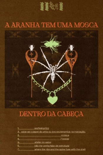 A aranha tem uma mosca dentro da cabeça
