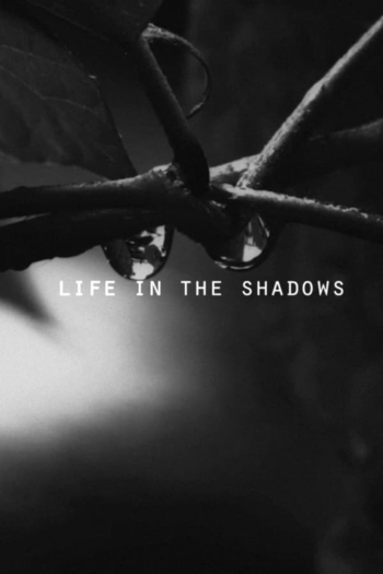 Life in the Shadows