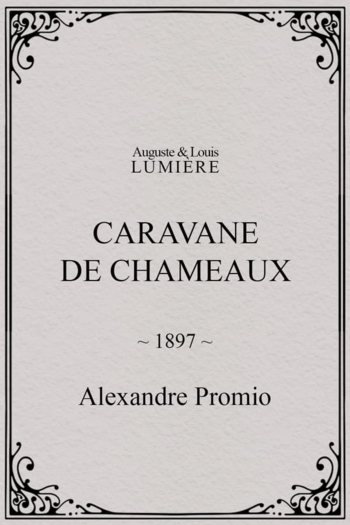 Caravane de chameaux