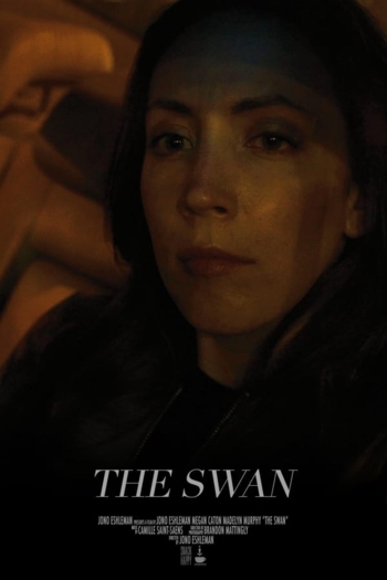 The Swan