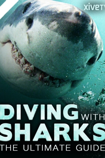 Diving with Sharks: The Ultimate Guide