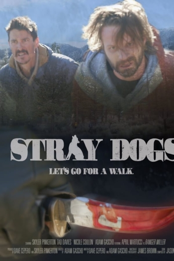 Stray Dogs