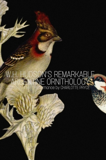 W.H. Hudson’s Remarkable Argentine Ornithology