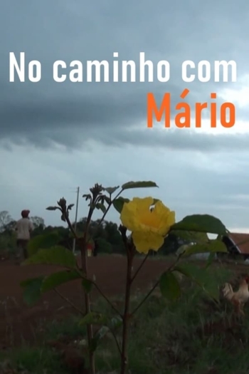 No Caminho com Mário