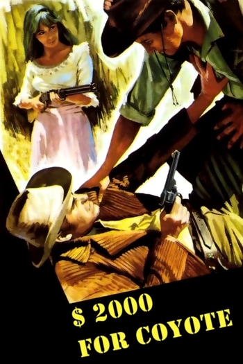 Django, a Bullet for You