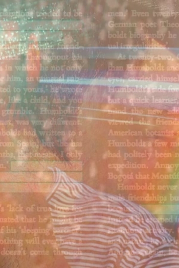 Shooting Star Summer Solstice