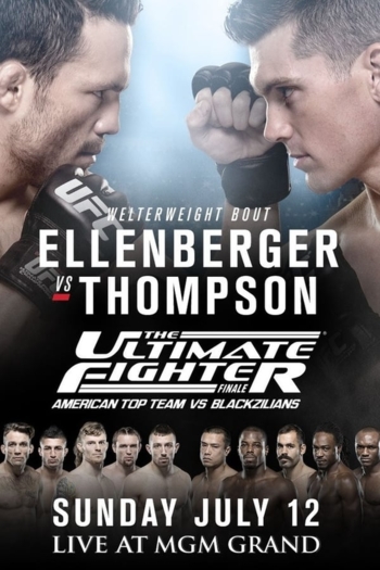 The Ultimate Fighter 21 Finale