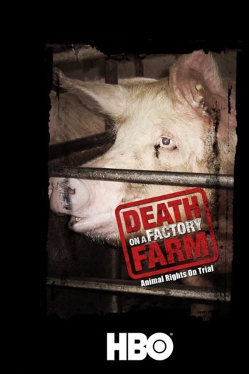 Death on a Factory Farm