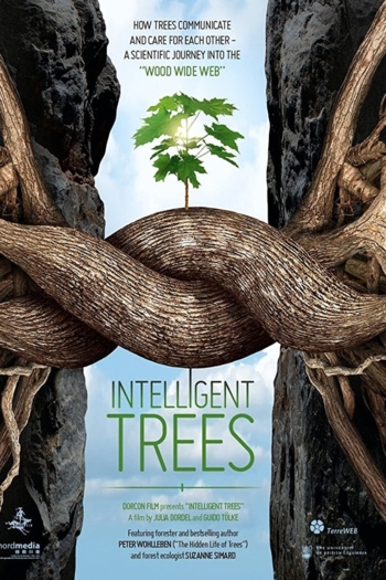 Intelligent Trees