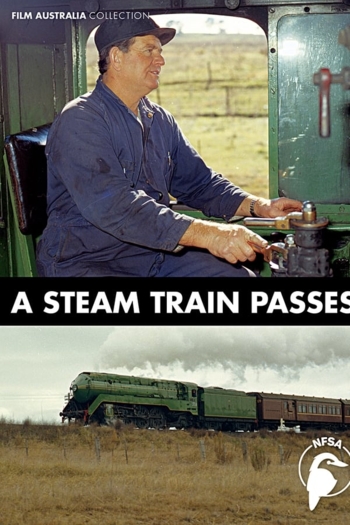 A Steam Train Passes