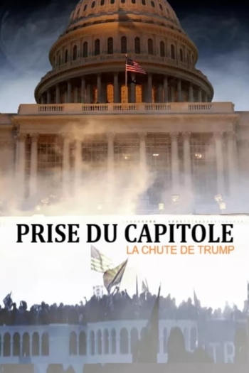 Prise du Capitole - la chute de Trump