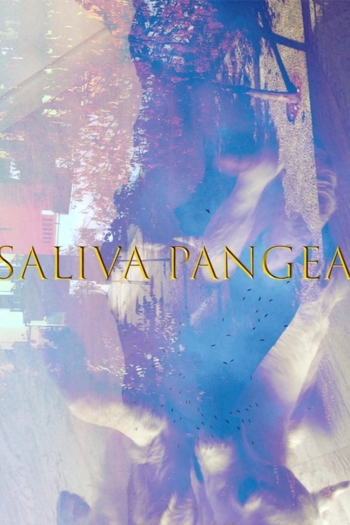 Saliva pangea