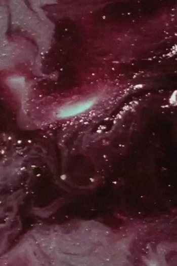 Richmond Study 2 - Monument Avenue