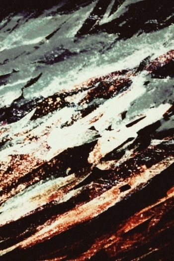 In an Imagined Garden