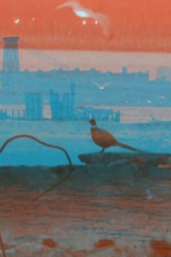 Eastern District Terminal