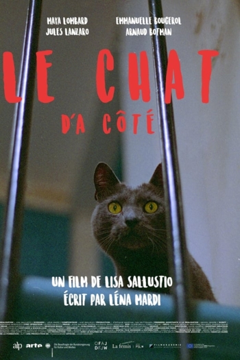Le chat d'à côté