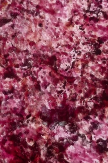 Levitator and Other Sensations