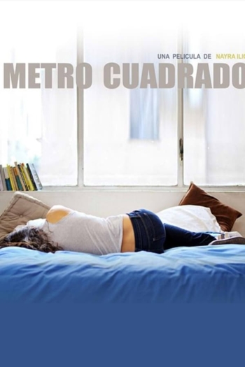 Metro cuadrado