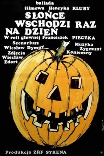 The Sun Rises Once a Day