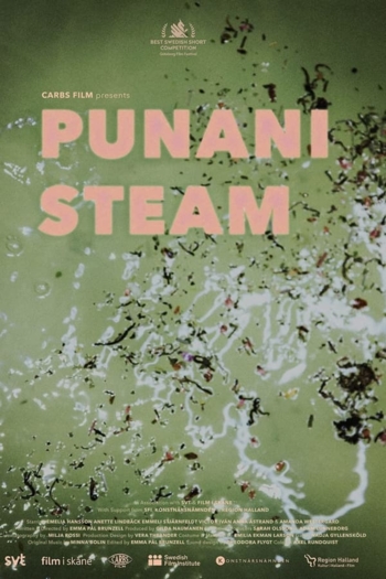 Punani Steam