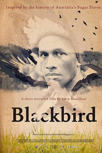 Blackbird