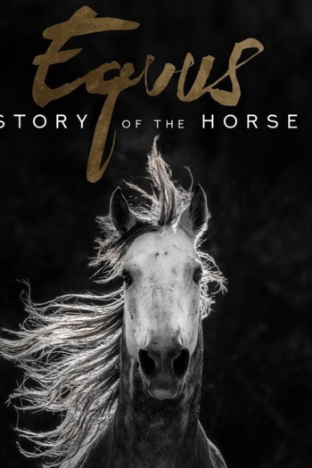 Equus: Story of the Horse