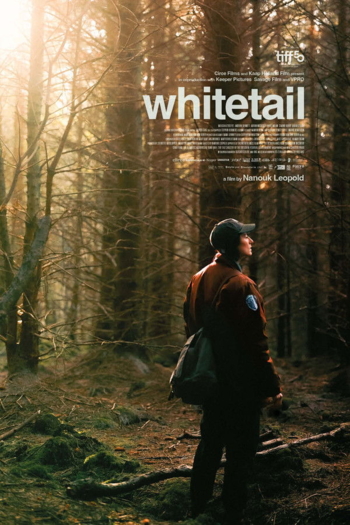 Whitetail