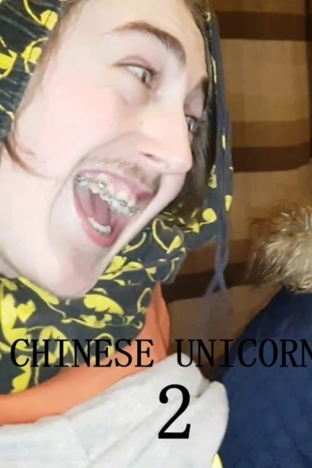 Chinese Unicorn 2: The Façade of Deceit