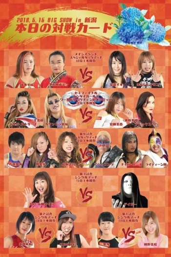 Sendai Girls Joshi Puroresu Big Show 2018 In Niigata