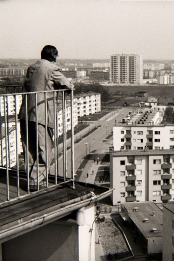 Für einen Platz an der Sonne