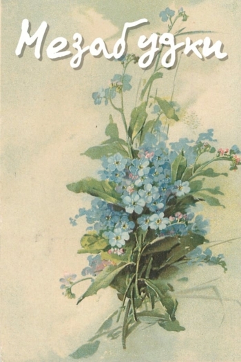 Forget-Me-Nots