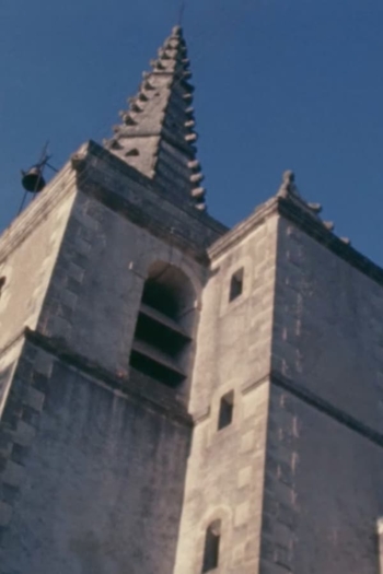 Dialogue avec Notre-Dame