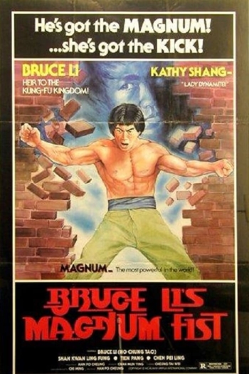 Bruce Li's Magnum Fist