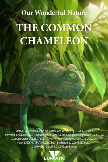 Our Wonderful Nature - The Common Chameleon