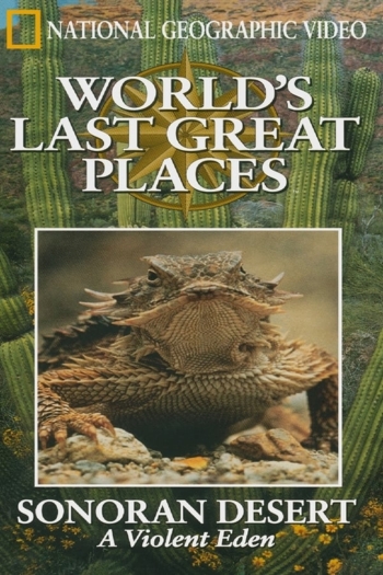 The Sonoran Desert: A Violent Eden