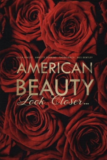 American Beauty: Look Closer...